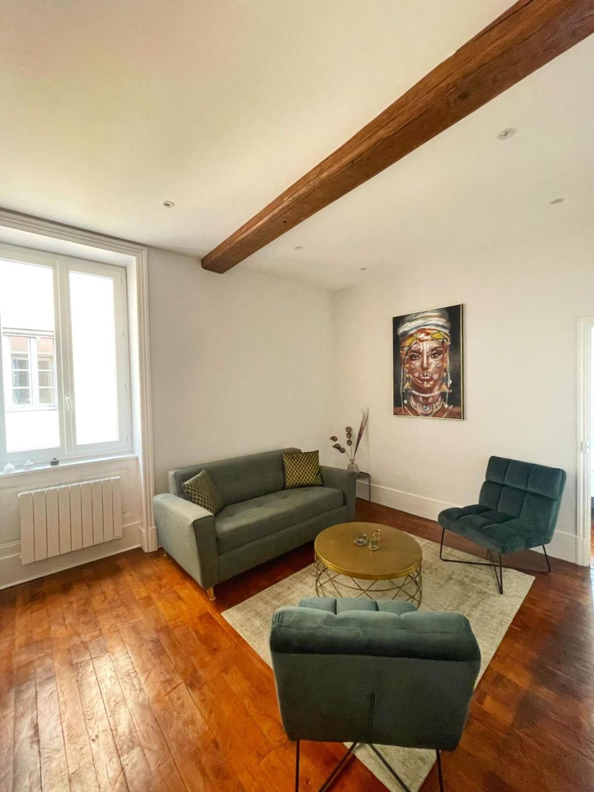Center Macon Charmant Appartement Avec Vue Sur La Saone Exterior photo